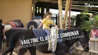 Vaulting: El Arte de Combinar Deporte, Ecuestre y Bienestar Animal- TvAgro por Juan Gonzalo Angel