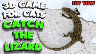 3D Game For Cats CATCH THE LIZARD Top View 4K 60 Fps Stereo Sound  3D Game For Cats CATCH THE LIZARD Top View 4K 60 Fps Stereo Sound