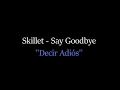 Download Lagu Skillet - Say Goodbye