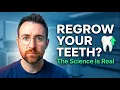Regrowing Teeth Is Now Possible Here s What the Science Actually Says