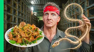 Mega Rats and Poison Snakes — Inside Asia's Bizarre Farms!!
