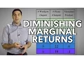 Diminishing Returns and the Production Function - Micro Topic 3 1