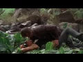 Lost Sawyer and Ana Lucia kiss