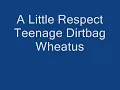 A Little Respect Teenage Dirtbag Wheatus