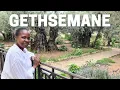 Download Lagu Gethsemane Where Jesus Was Arrested ||  Judas Betrayed Jesus With a Kiss