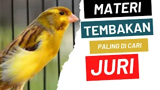 masteran kenari gacor materi paling dicari dan disukai juri saat di gantangan