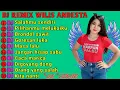 Download Lagu DJ REMIX ASYIK VIRAL TIKTOK