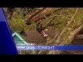 WGN News Tonight