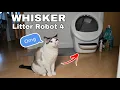 Whisker Litter Robot 4 Unboxing Automatic Cat Litter