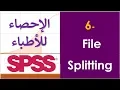 SPSS skills 6 - File Splitting