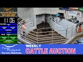 Oklahoma Cattle Market Live Auction at Durant Stockyards March 12 2026