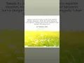 Download Lagu Ku Ucap Syukur #lagurohanikristen #ayatalkitab 🕊️✨❤️🙏
