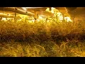 Vice Narcotics Search Warrant - 11459 Trail Ridge Run Brooksville