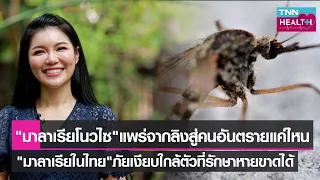 ทำไมการกินยาป้องกันมาลาเรียไม่แนะนำสำหรับการเดินทางในไทย