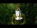 Forest Buddha | Deep Flute Meditation in the Heart of Nature