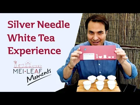 Download MP3 Silver Needle Experience - TASTING A FLIGHT OF WHITE TEA