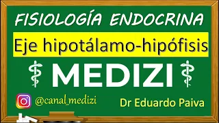 Fisiología Endocrina - Eje Hipotálamo Hipófisis (hipotálamo-hipofisario) (IG:@doctor.paiva)