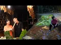 Download Lagu We released a large amount of fish into the lotus pond: Tuan hugged Thuy from behind.