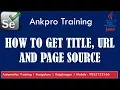 Selenium with Java 4 - How to get browser window title How to get url How to get page source