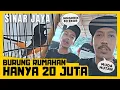 Download Lagu MURAI BATU SINAR JAYA MAKAN JANGKRIK 80 EKOR 😱 SUARA MURAI TERPANJANG