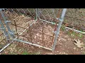 Tractor Supply 10 X 10 Stephens dog pen