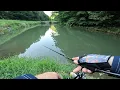 Download Lagu Summer fishing for Chub and trout on Duo Ryuki 45S