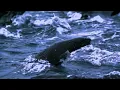 Kid Cudi :: The Prayer instrumental video - Our Planet - 720p HD