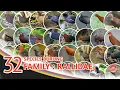Download Lagu 32 SPESIES BURUNG // DARI KELUARGA RALLIDAE // DI INDONESIA.