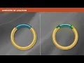 DNA Ligation