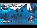 How to Build the best Snow Owl trap in ARK ASA ARK EXTINCTION