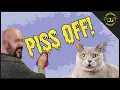 Download Lagu You're Doing it Wrong: How to Clean Cat Pee