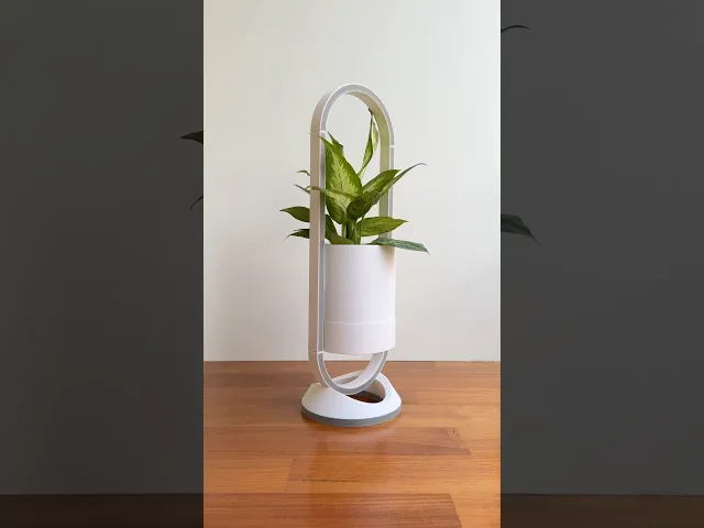 Pure, desk vase. video thumbnail