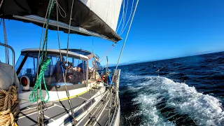 Lively Sailing in South America  [Adventure #197]