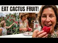 How to Eat a Prickly Pear Cactus