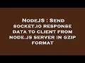 NodeJS Send socket io response data to client from node js server in gzip format