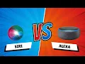 The Ultimate Non-Stop Siri Roast Battle Who Will Break First