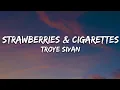 Download Lagu Troye Sivan - Strawberries \u0026 Cigarettes (Lyrics)
