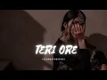 Download Lagu Teri Ore | Singh Is Kinng  [SLOWED+REVERB]