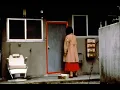 Pulse - Life Computer Simulation