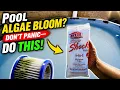 Pool Algae Bloom Don t Panic Do THIS