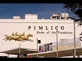 Pimlico from the Heart 2026