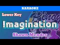 Download Lagu Imagination by Shawn Mendes Karaoke : Lower Key