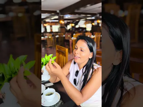 Visit to Kingswood tea factory Ramboda #food #apemiss #ramboda #tea #factory #nuwaraeliya