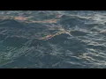 Chihei Hatakeyama - Twilight Sea (visualiser)