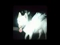 Fat Dog - Cancel Me (I’m Tired) (SLOWED + REVERB)