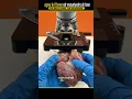 Download Lagu सूअर के दिमाग को माइक्रोस्कोप से देखा 😳|| Pig Brain Under The Microscope|| #shorts #viral#microscope