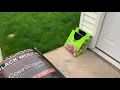Menards Crabgrass Preventer is Great