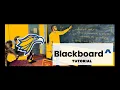 Blackboard Tutorial
