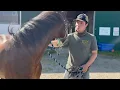 Bubba goes home