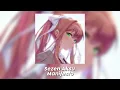 Sezen Aksu Manifesto ~ Speed up